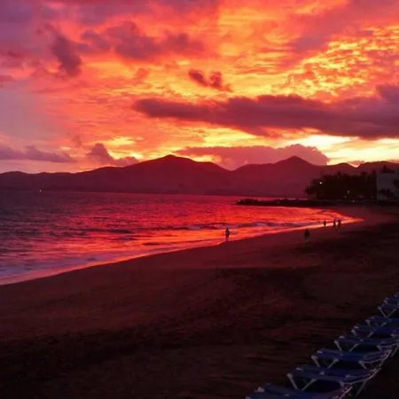 Ancla Ii Old Town & Playa Chica 푸에르토 델 카르멘